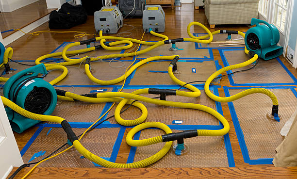 Professional Crawl Space Water Removal technician working in Dayton, NJ